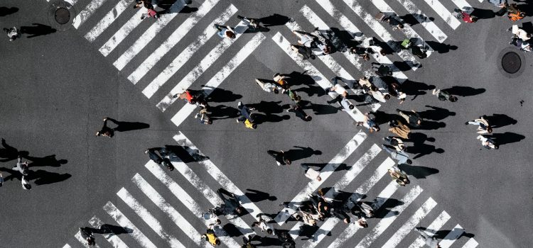 ryoji-iwata-TRJjPc0wss0-unsplash